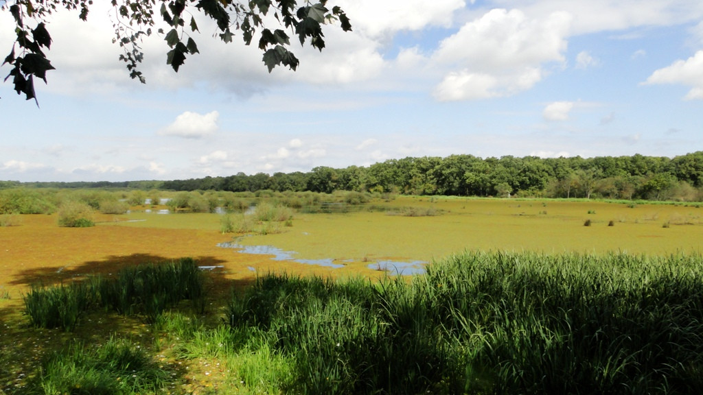 International Nature Protection Course for Rangers