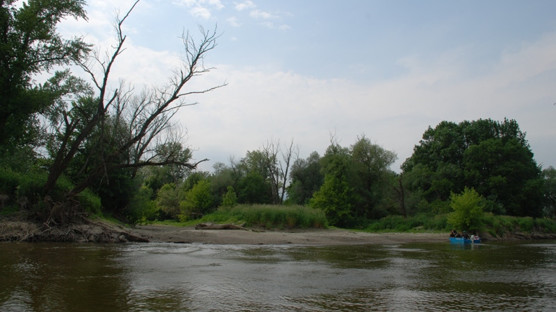 International Workshop on River Revitalization in Donau-Auen National Park