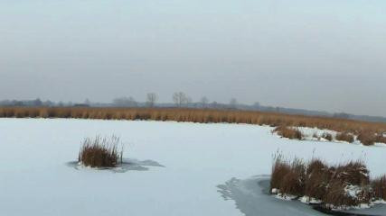 Trilateral Workshop on River Morphology