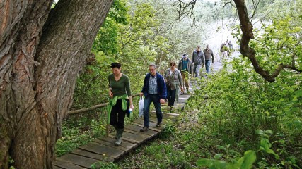 Black Poplar Conference in Novi Sad: DANUBEPARKS Giants