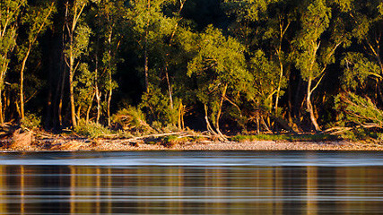 Nature’s Havens on the Danube