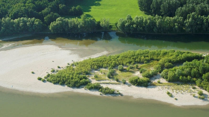 2nd Danube Volunteers Day at Donau-Auen National Park