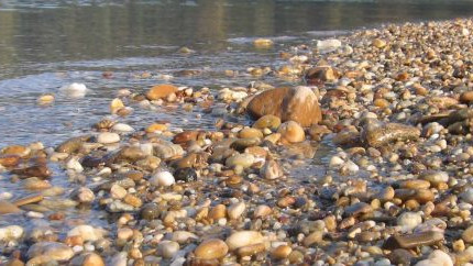 The Danube Wild Island Habitat Corridor