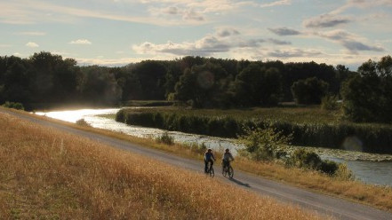 Cycling the Danube - trip to the natural treasures along the Danube