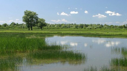 schlossORTH National Park Centre: Welcome to the Donau-Auen National Park!