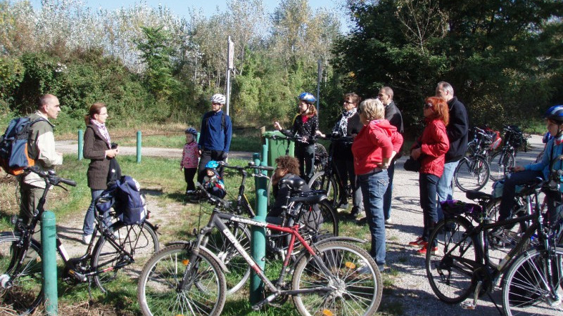 Cycling in the Lobau