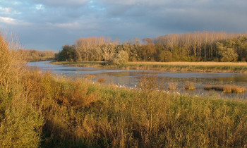 Attila Mórocz / Duna-Dráva National Park - Gemenc area