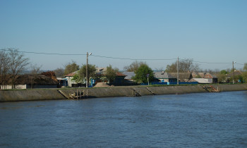 Christian Mititelu / Danube Delta Biosphere Reserve Authority - Danube at Crisan in the Danube Delta