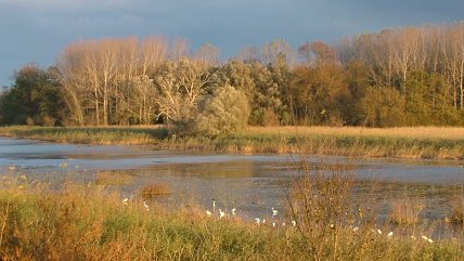 Cycling Routes in Lonjsko polje