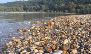 Baumgartner / Donau-Auen National Park - Danube shore in Austria