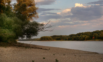 Kern / Donau-Auen National Park - Danube shore in Austria