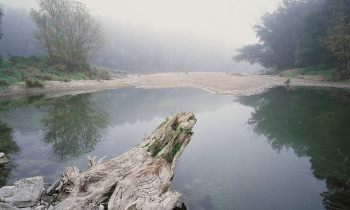 Popp / Donau-Auen National Park - Oxbow