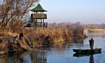 Fertö-Hanság National Park Directorate - Fishery in the Szigetköz area