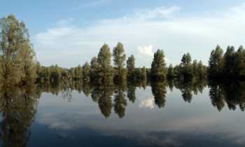 Hrvoje Domazetovič / Kopački rit Nature Park - Channels in Kopački rit