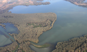 Marko Mrkonjic / Kopacki rit Nature Park - Kopacko lake