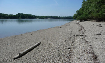 BROZ - Danube River near Vel'kylélsky ostrov island