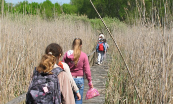 Radmila Šakić / Vojvodina šume - Kids experiencing floodplain nature