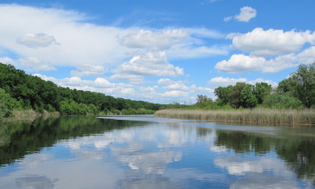 Jaroslav Pap / Vojvodinašume - Old Danube Stream in Serbia