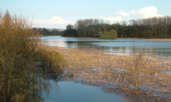 Attila Mórocz / Duna-Dráva National Park - Gemenc area