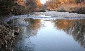 Dolecek / Donau-Auen National Park - Oxbow