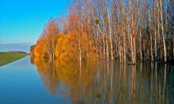 Fertö-Hanság National Park Directorate - Flood in the Szigetköz area