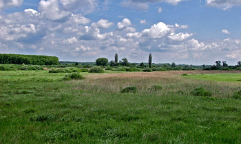 Fertö-Hanság National Park Directorate - Swamp meadows at Ásványráró