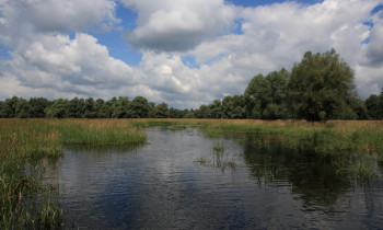 Hrvoje Domazetovič / Kopački rit Nature Park - Channel in Kopački rit