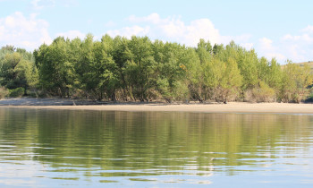 Persina Nature Park - The Danube River at Goliyama Barzina Island