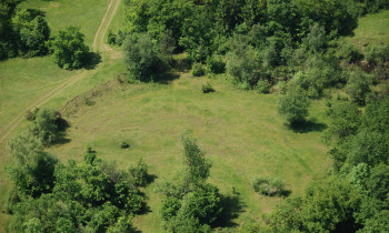 Geißler / Donauauwald Neuburg-Ingolstadt - Dry meadow in the floodplain area