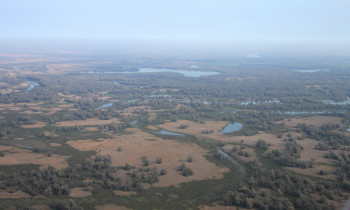 Marko Mrkonjic / Kopacki rit Nature Park - Kopacko lake and surroundings