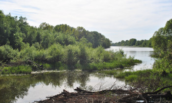 Eva Bušová / BROZ - Vel'kolélsky island