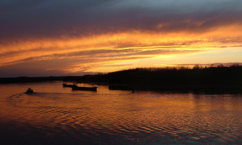 Attila Mórocz / Duna-Dráva National Park - Evening in Gemenc area