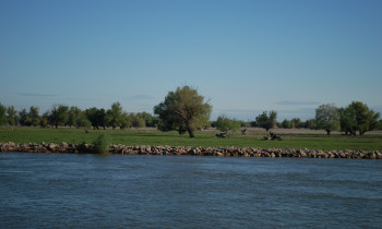 Christian Mititelu / Danube Delta Biosphere Reserve Authority - Meadow in the Danube Delta