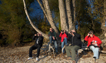 Kovacs / Donau-Auen National Park - Guided excursion