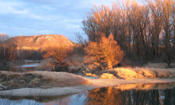 Baumgartner / Donau-Auen National Park - Oxbow