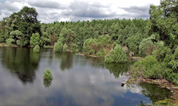 Fertö-Hanság National Park Directorate - Flood in the Szigetköz area