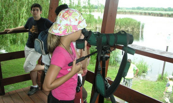 www.szigetköz.eu - Young birdwatchers