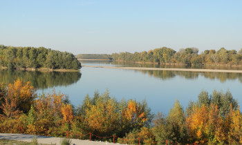 Persina Nature Park - Danube island near Belene