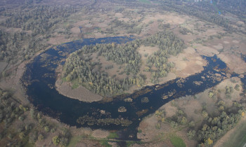 Marko Mrkonjic / Kopacki rit Nature Park - Zadanj depression