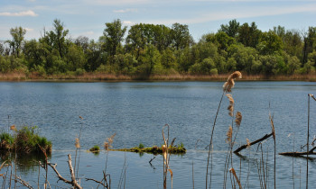 Eva Bušová / BROZ - Vel'kolélsky island