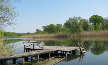 Dijana Čortan / Vojvodinašume - Pier on Bajski channel