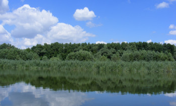 Edina Pártényi / Duna-Dráva National Park - Béda-Karapancsa