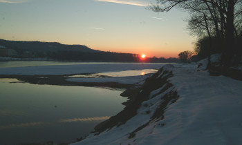 Frank / Donau-Auen National Park - Danube shore and islands