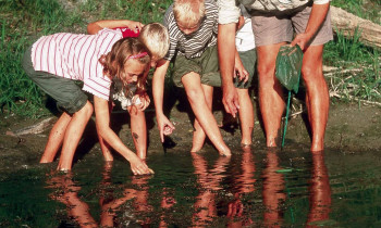 Kovacs / Donau-Auen National Park - Environmental education