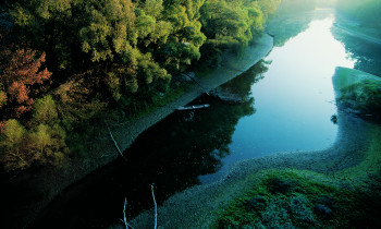 Popp / Donau-Auen National Park - Oxbow