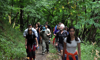 Djerdap National Park - Excursion in the forest