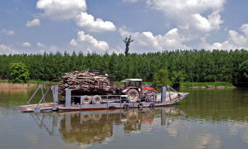 Fertö-Hanság National Park Directorate - Forestry operations in a sidearm