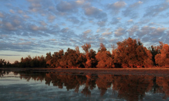 Hrvoje Domazetovič / Kopački rit Nature Park - Autumn evening in Kopački rit