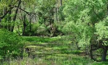 BROZ - Vel'kolélsky island