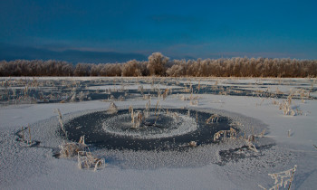 Daniel Petrescu / Danube Delta Biosphere Reserve Authority - Winter frost in the Danube Delta